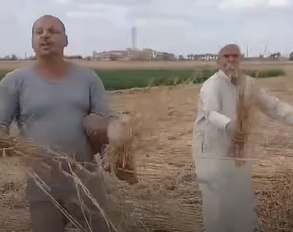 Screenshot 2026-04-28 110216